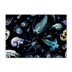 Colorful Abstract Pattern Consisting Glowing Lights Luminescent Images Marine Plankton Dark Backgrou Sticker A4 (100 Pack)