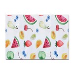 Fruit Summer Vitamin Watercolor Sticker A4 (10 pack) Front