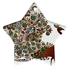 Peacock Graceful Bird Animal Ornament (star) by artworkshop