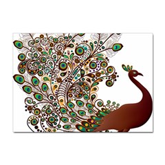 Peacock Graceful Bird Animal Sticker A4 (10 Pack) by artworkshop