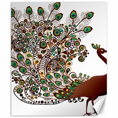 Peacock Graceful Bird Animal Canvas 8  X 10  by artworkshop