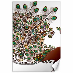 Peacock Graceful Bird Animal Canvas 12  X 18  by artworkshop