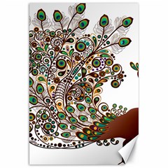 Peacock Graceful Bird Animal Canvas 20  X 30  by artworkshop