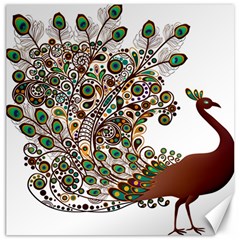 Peacock Graceful Bird Animal Canvas 20  X 20  by artworkshop