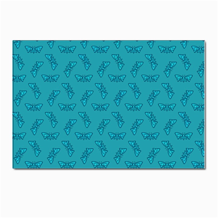 Butterfly Art Pattern Design Background Frame Postcard 4 x 6  (Pkg of 10)