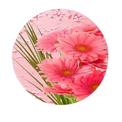 Nature Flowers Mini Round Pill Box (pack Of 3) by Sparkle