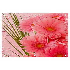 Nature Flowers Banner And Sign 6  X 4  by Sparkle