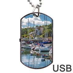 Piriapolis City Port, Maldonado, Uruguay Dog Tag Usb Flash (one Side) by dflcprintsclothing