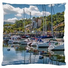 Piriapolis City Port, Maldonado, Uruguay Large Flano Cushion Case (one Side) by dflcprintsclothing