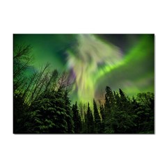 Aurora Borealis In Sky Over Forest Sticker A4 (100 Pack) by danenraven