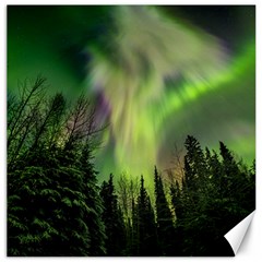 Aurora Borealis In Sky Over Forest Canvas 12  X 12  by danenraven