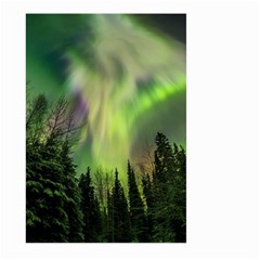 Aurora Borealis In Sky Over Forest Large Garden Flag (two Sides) by danenraven