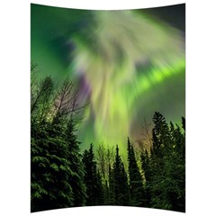 Aurora Borealis In Sky Over Forest Back Support Cushion by danenraven