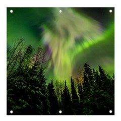 Aurora Borealis In Sky Over Forest Banner And Sign 4  X 4  by danenraven