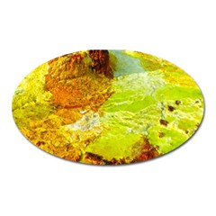 Lake Dallol In Danakil Depression Ethiopia Oval Magnet by danenraven