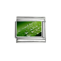 Green Water Leaf Italian Charm (9mm) by artworkshop