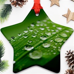 Green Water Leaf Star Ornament (two Sides) by artworkshop