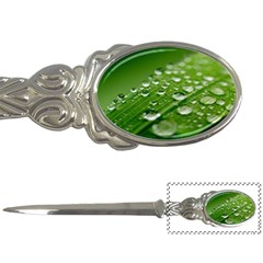 Green Water Leaf Letter Opener by artworkshop