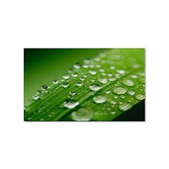 Green Water Leaf Sticker Rectangular (10 Pack) by artworkshop