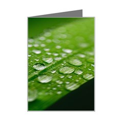 Green Water Leaf Mini Greeting Card by artworkshop