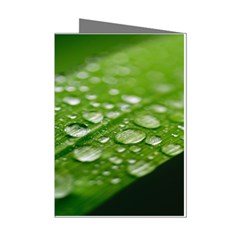 Green Water Leaf Mini Greeting Cards (pkg Of 8) by artworkshop