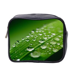 Green Water Leaf Mini Toiletries Bag (two Sides) by artworkshop