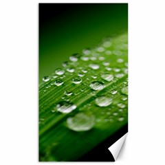 Green Water Leaf Canvas 40  X 72 