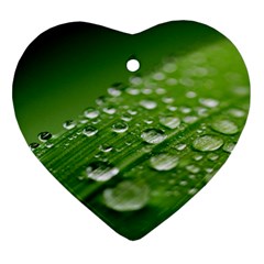 Green Water Leaf Heart Ornament (two Sides) by artworkshop