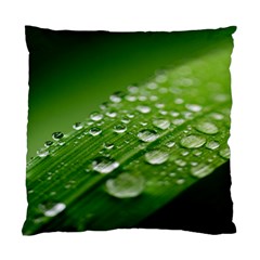 Green Water Leaf Standard Cushion Case (two Sides) by artworkshop