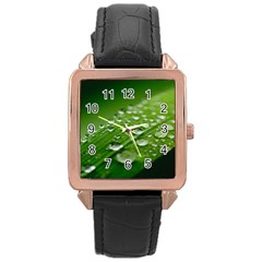 Green Water Leaf Rose Gold Leather Watch  by artworkshop