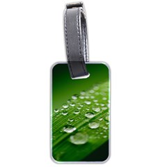 Green Water Leaf Luggage Tag (two Sides) by artworkshop