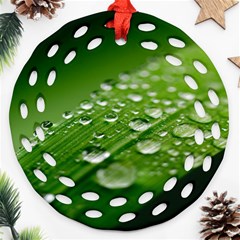 Green Water Leaf Ornament (round Filigree) by artworkshop