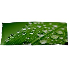 Green Water Leaf Body Pillow Case Dakimakura (two Sides) by artworkshop