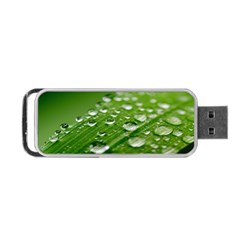 Green Water Leaf Portable Usb Flash (one Side) by artworkshop