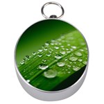 Green Water Leaf Silver Compasses Front