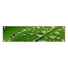 Green Water Leaf Banner And Sign 4  X 1  by artworkshop