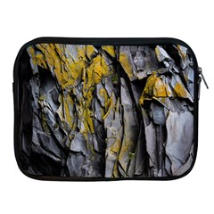 Rock Wall Crevices  Apple Ipad 2/3/4 Zipper Cases by artworkshop