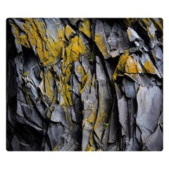 Rock Wall Crevices  Premium Plush Fleece Blanket (small) by artworkshop