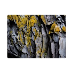 Rock Wall Crevices  One Side Premium Plush Fleece Blanket (mini) by artworkshop