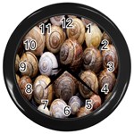 Snail Shells Pattern Arianta Arbustorum Wall Clock (Black) Front