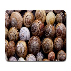 Snail Shells Pattern Arianta Arbustorum Large Mousepad by artworkshop