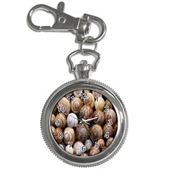 Snail Shells Pattern Arianta Arbustorum Key Chain Watches by artworkshop