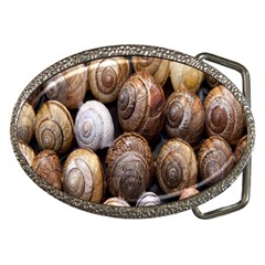 Snail Shells Pattern Arianta Arbustorum Belt Buckles