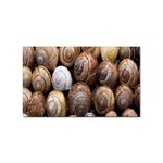 Snail Shells Pattern Arianta Arbustorum Sticker (Rectangular) Front