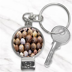 Snail Shells Pattern Arianta Arbustorum Nail Clippers Key Chain by artworkshop