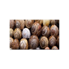 Snail Shells Pattern Arianta Arbustorum Sticker (rectangular) by artworkshop