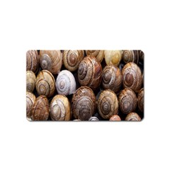 Snail Shells Pattern Arianta Arbustorum Magnet (name Card)