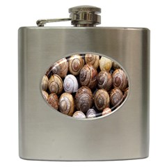 Snail Shells Pattern Arianta Arbustorum Hip Flask (6 Oz) by artworkshop