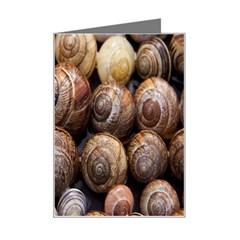 Snail Shells Pattern Arianta Arbustorum Mini Greeting Card by artworkshop