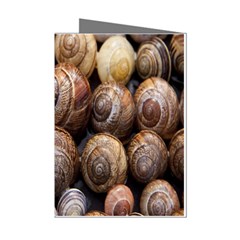 Snail Shells Pattern Arianta Arbustorum Mini Greeting Cards (pkg Of 8) by artworkshop